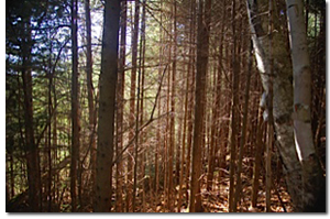 Adirondacks Mountains, Lake Placid - Sept 20-23, 2013
