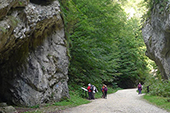 Walking the Carpathians
