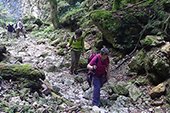 Walking the Carpathians