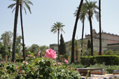 Sevilla